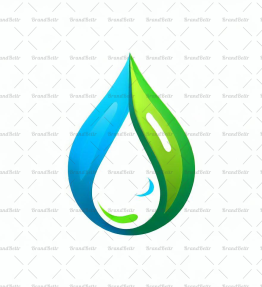 Wassertropfen und Blatt